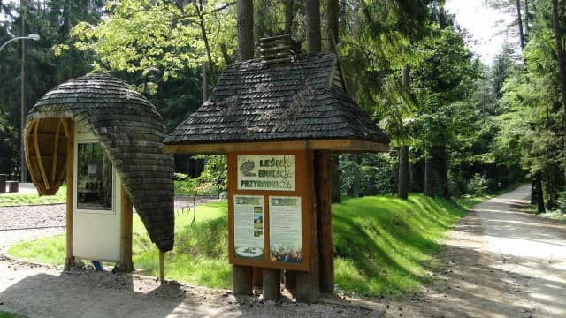 Puszcza Knyszyńska atrakcje: najciekawsze miejsca, które musisz zobaczyć Puszcza Knyszyńska atrakcje: najciekawsze miejsca, które musisz zobaczyć